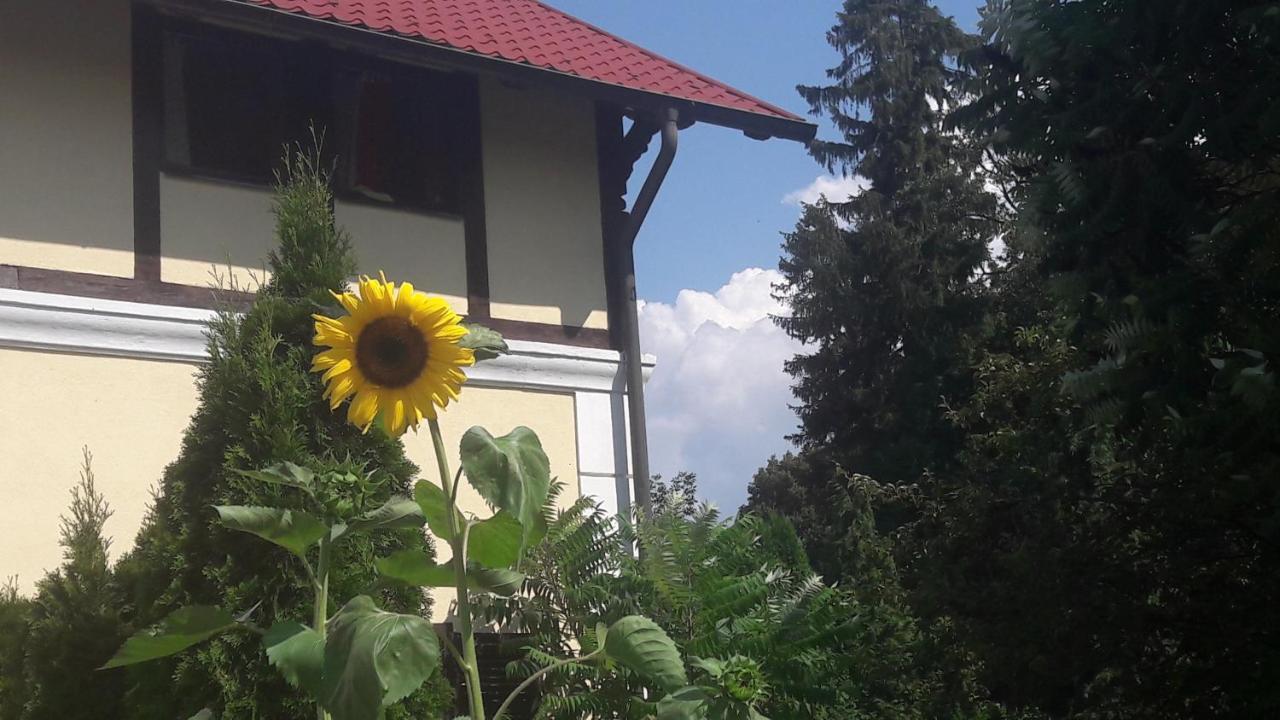 Penzion Pod Orechom Turčianske Teplice Εξωτερικό φωτογραφία
