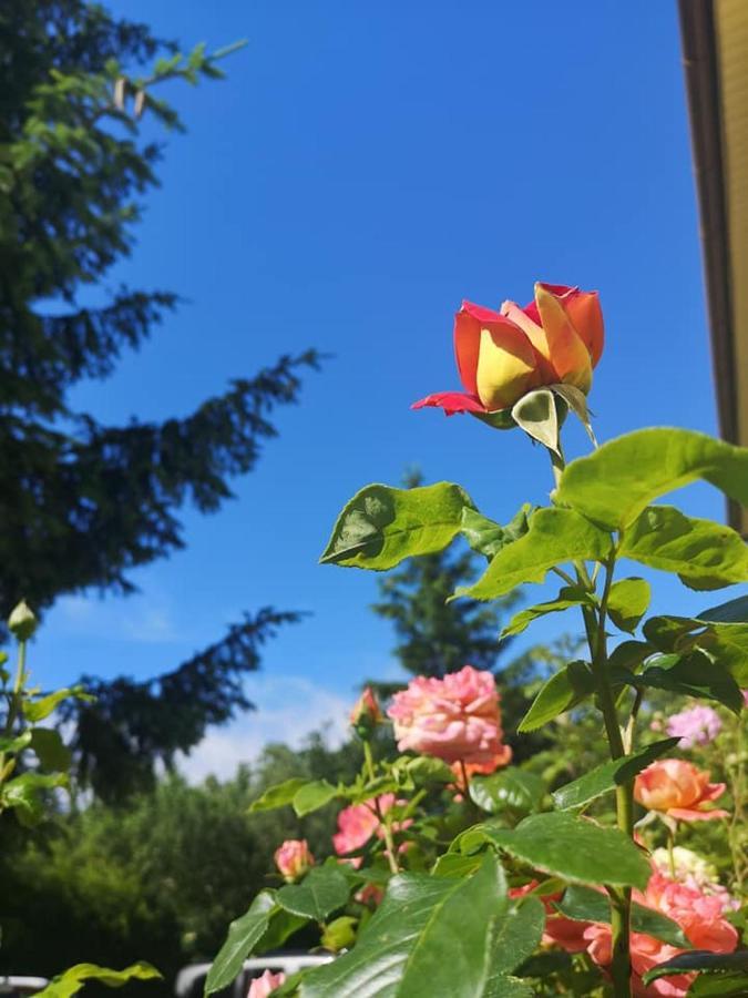 Penzion Pod Orechom Turčianske Teplice Εξωτερικό φωτογραφία